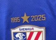 开云体育平台APP-申花客场告负，积分榜岌岌可危的简单介绍