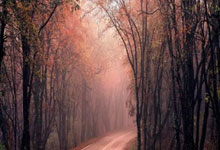 开云体育官网-奇才逆转凯尔特人，东契奇引领史诗级表现