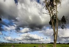 开云体育-波兰男篮鏖战奇才，萨博尼斯关键制胜：精彩瞬间全纪录