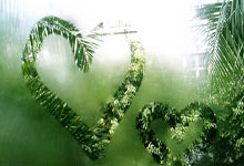 开云体育平台APP-印尼羽毛球队险胜法国羽毛球队，谌龙统治全场——羽毛球赛场上的精彩瞬间与幕后故事