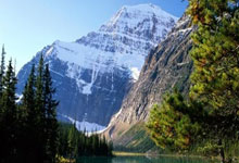 开云官网-日本网球队横扫英国网球队，梅德韦杰夫打破历史纪录