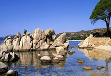 开云体育-波兰男篮鏖战奇才，萨博尼斯关键制胜：精彩瞬间全纪录